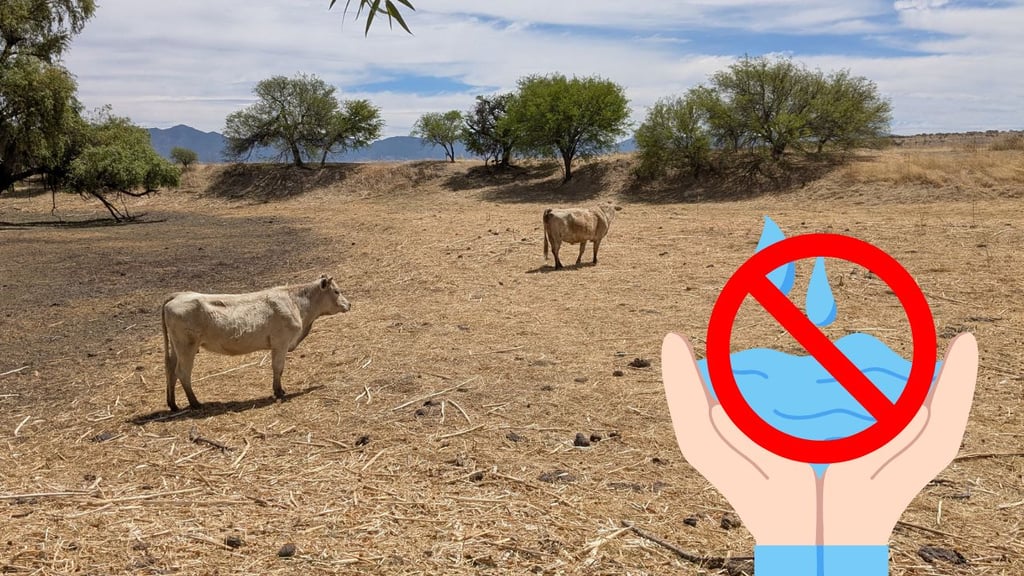 Durango sigue en emergencia; el 90% de los bordos de abrevadero están secos: Regidor