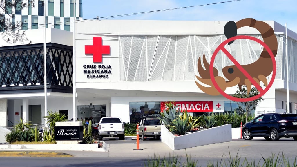 Cruz Roja de Durango, sin antídoto para picadura de alacrán; llaman a tomar precauciones