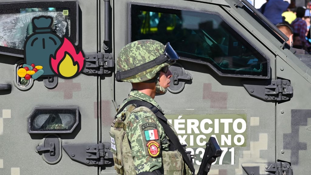 Destruyen plantíos de marihuana y amapola en Durango