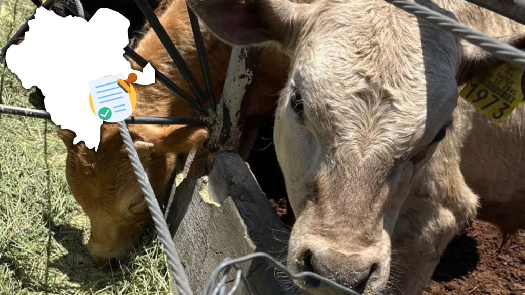 Durango no tiene presencia de gusano barrenador, señala SAGDR