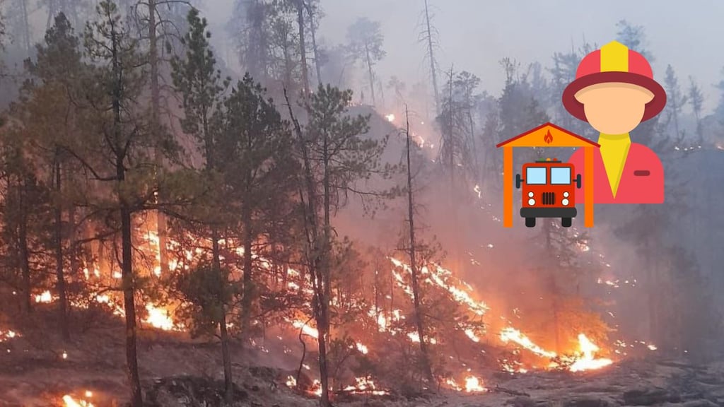 Forman brigadas municipales para prevenir incendios y plagas en Durango