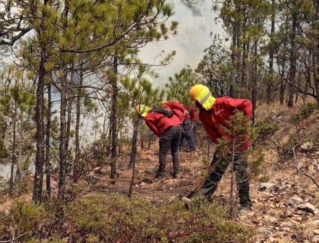 Hay coordinación entre los tres niveles de gobierno para prevenir y combatir los incendios.