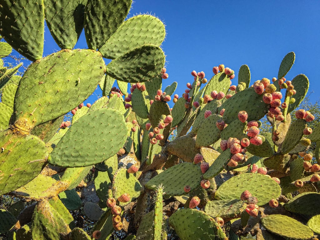 Los relatos de Juan Emigdio