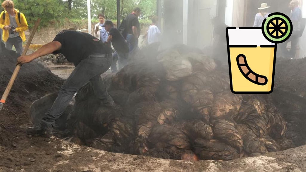 Anuncian foro para proteger el mezcal en Durango