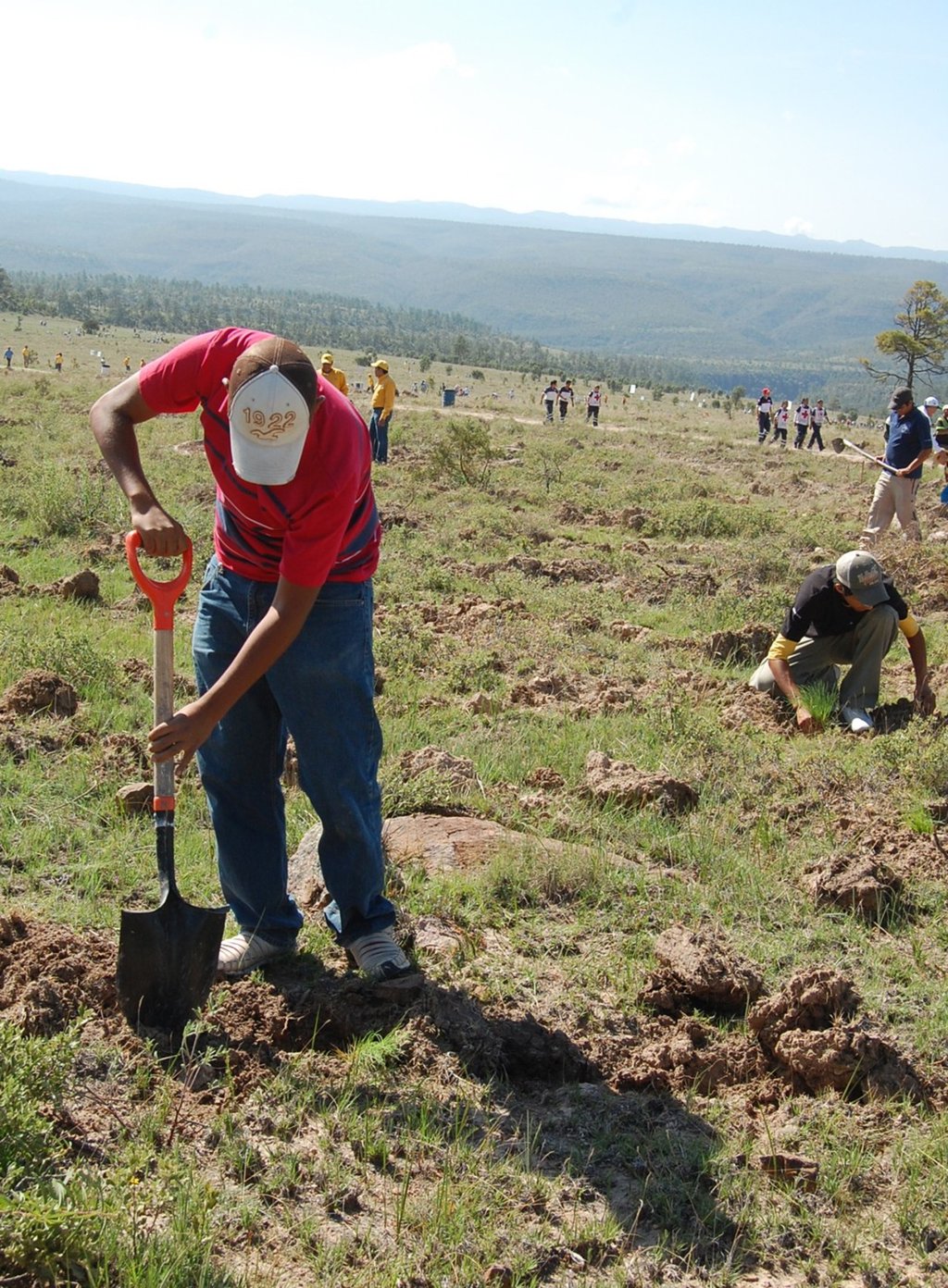Legislación. Se adelantó que la iniciativa forma parte de un plan completo de reformas planteadas para el mismo propósito.
