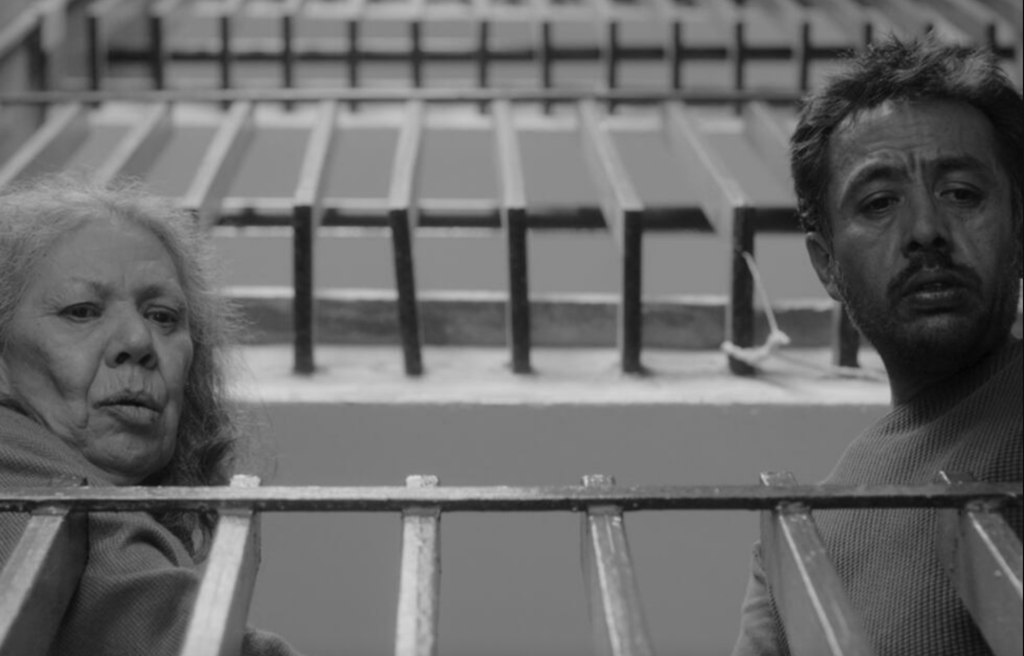 Filmoteca exhibirá hoy 'No nos moverán'