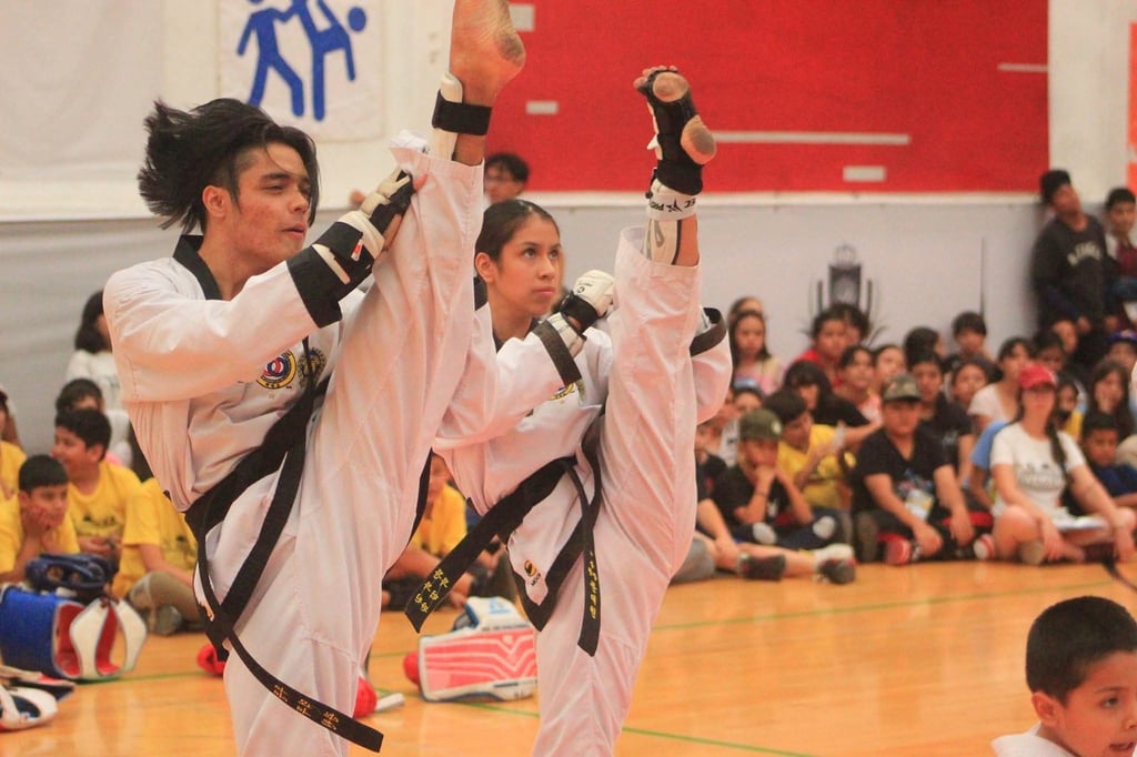 IED invita al campamento de verano | Horarios e inscripciones