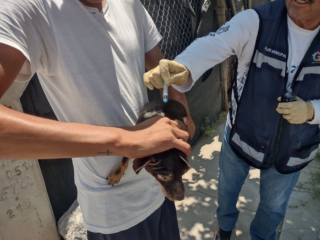 Motivo. Esta campaña tiene como objetivo principal prevenir casos de rabia y controlar la proliferación de garrapatas.