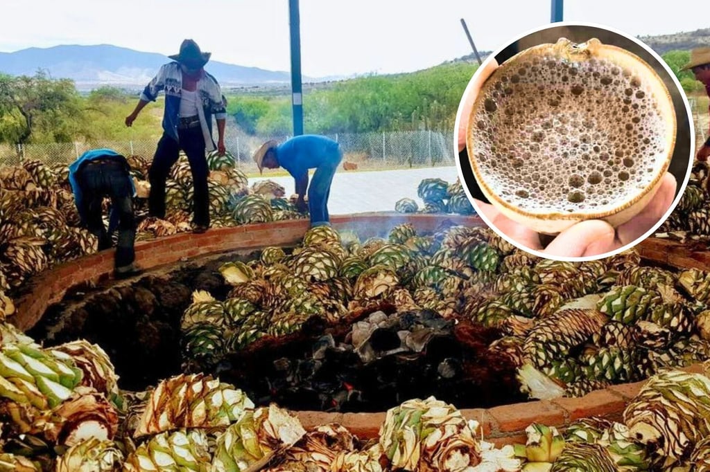Indígenas duranguenses se purifican para producir mezcal; incluye el celibato