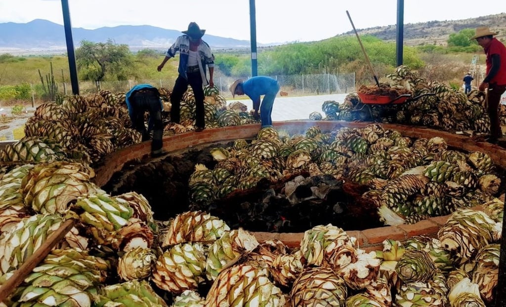 Entorno. En la zona indígena de Mezquital existen costumbres ancestrales para producir el mezcal, entre ellas la purificación por meses del maestro mezcalero para hacer una buena bebida. 