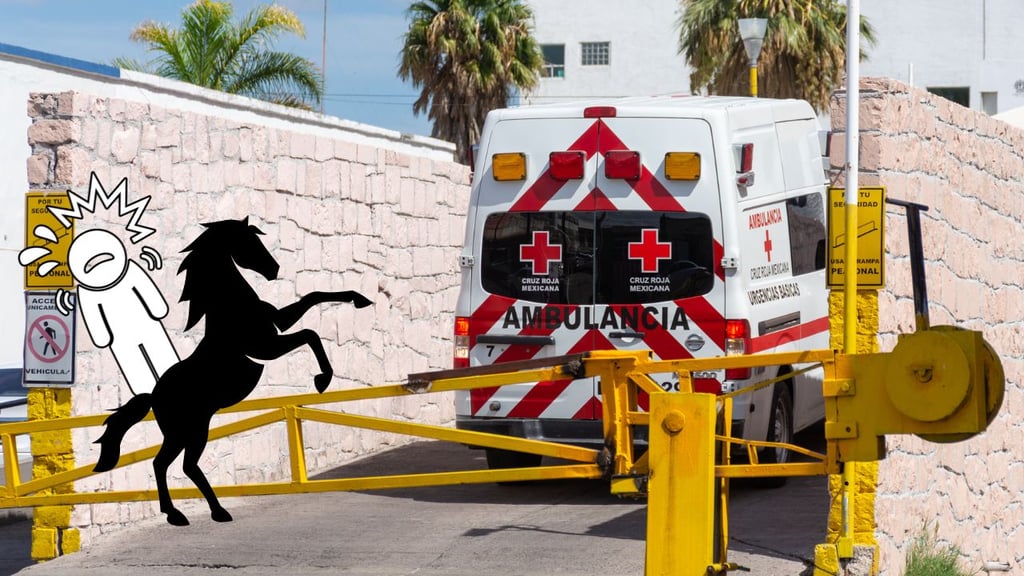 Menor de 11 años ingresa al Materno Infantil tras caer de un caballo