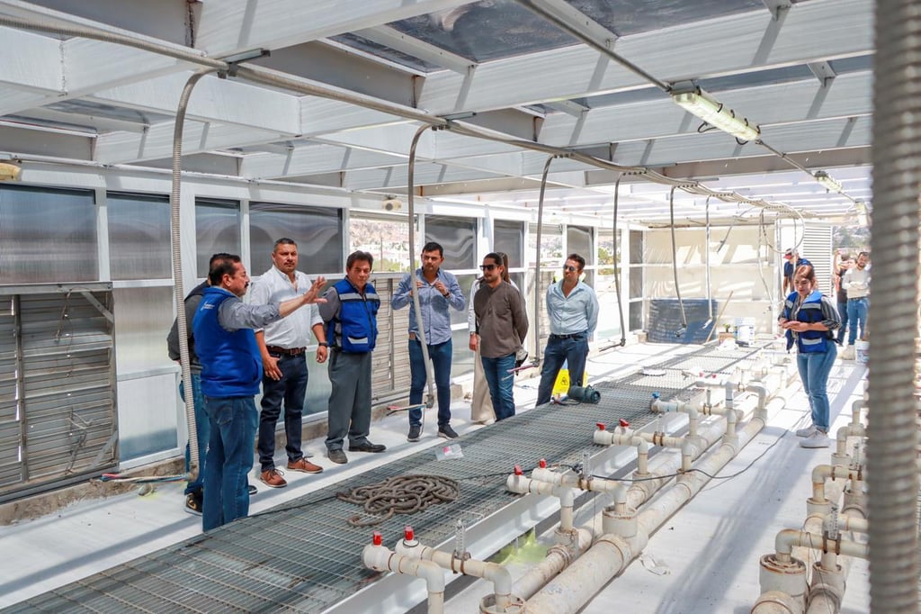 Gestión. La Alberca 450 registra ya entre un 80 y 85 % de avance y está por reabrir sus puertas completamente renovada.