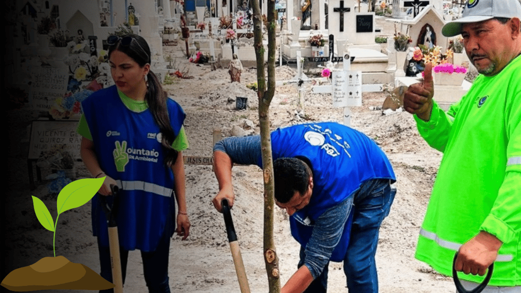 Plantan 70 árboles en el Panteón Getsemaní