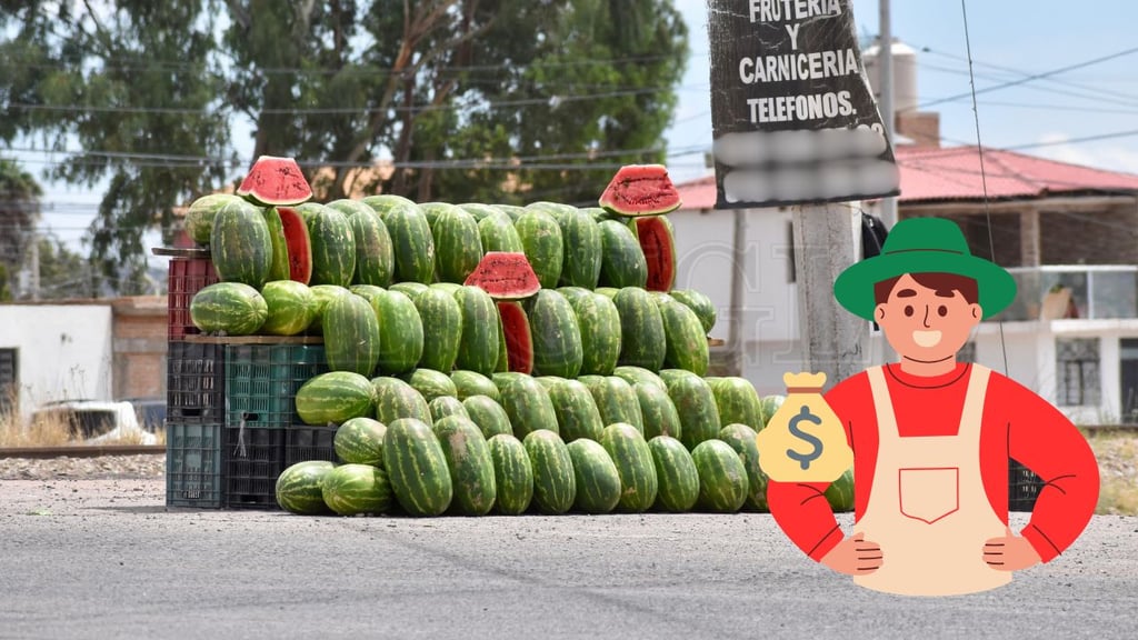 Productores de Tlahualilo llegan a Durango para vender sandías en la vía pública