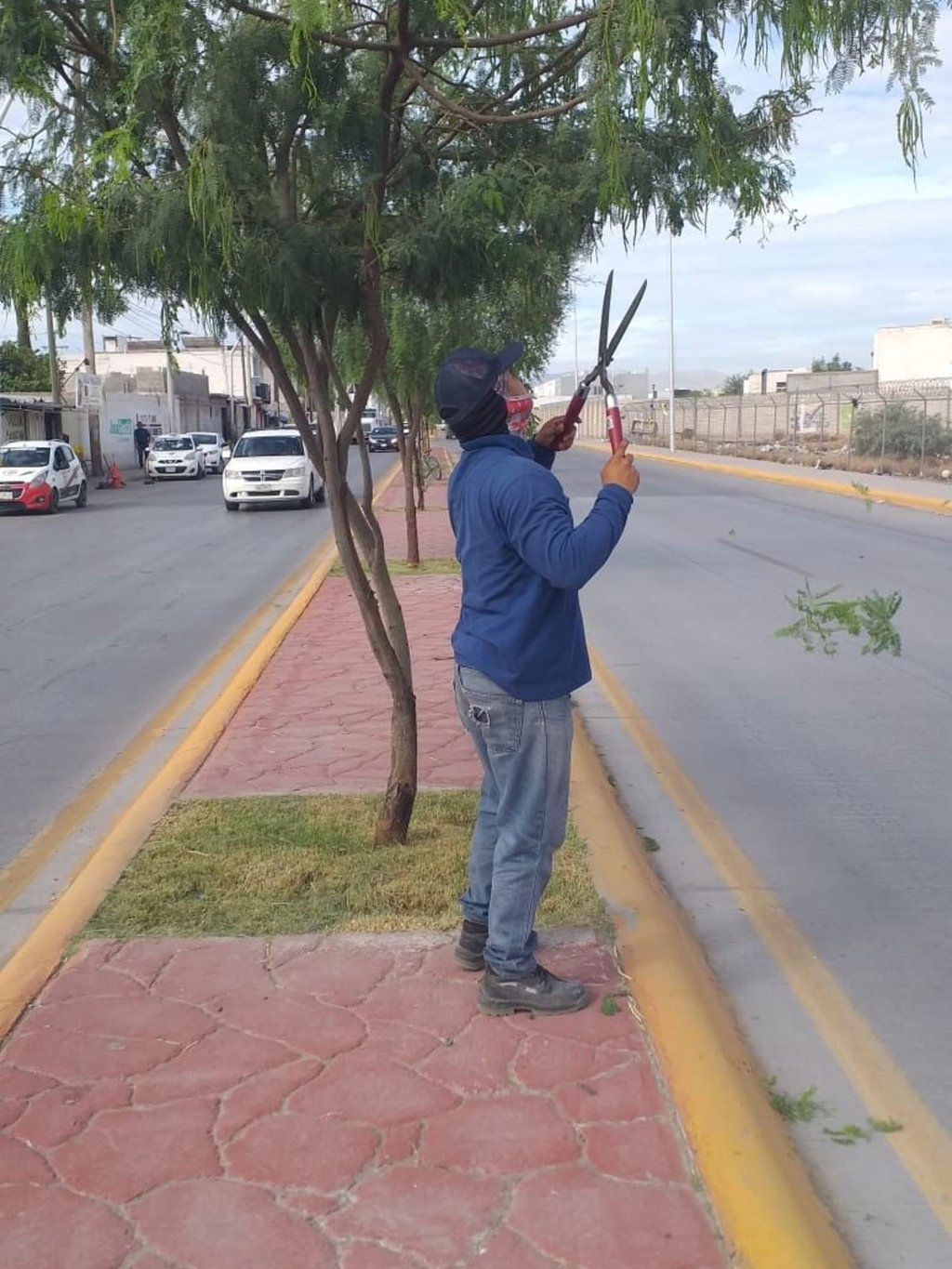 Atención. Las cuadrillas realizaron labores de desmalezado, poda estética y limpieza integral.