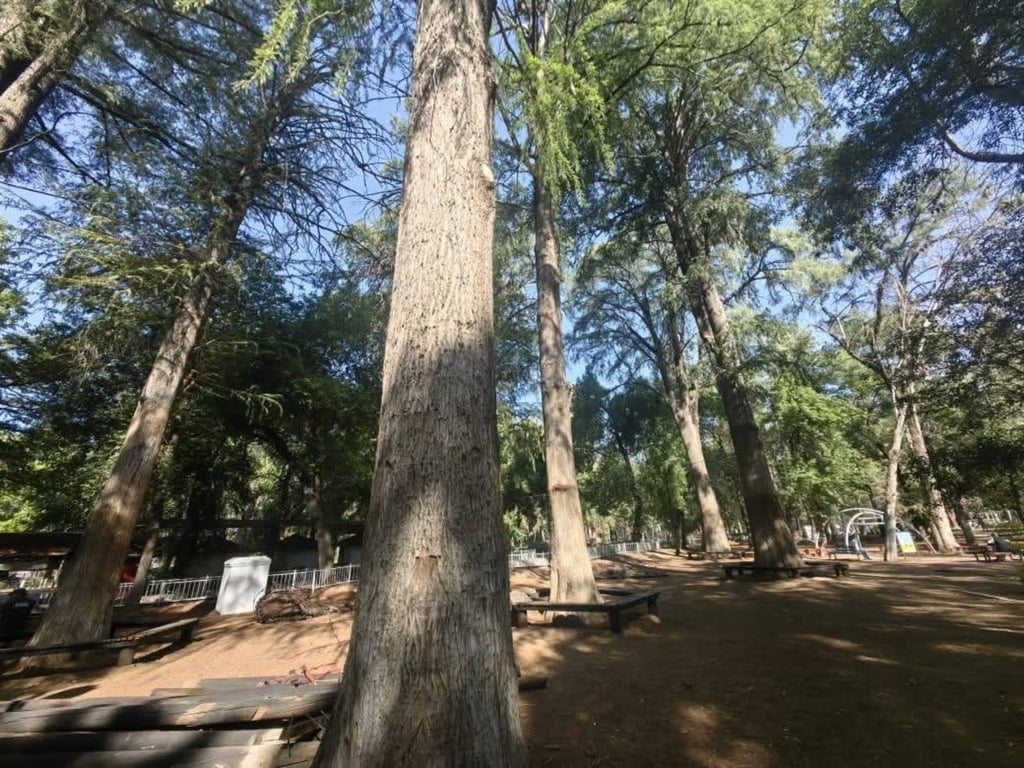 Reubicación. Algunos de los juegos, tirolesa y puentes que se retiraron se van a cambiar a otras zonas donde no provoquen daño a los núcleos señalados.