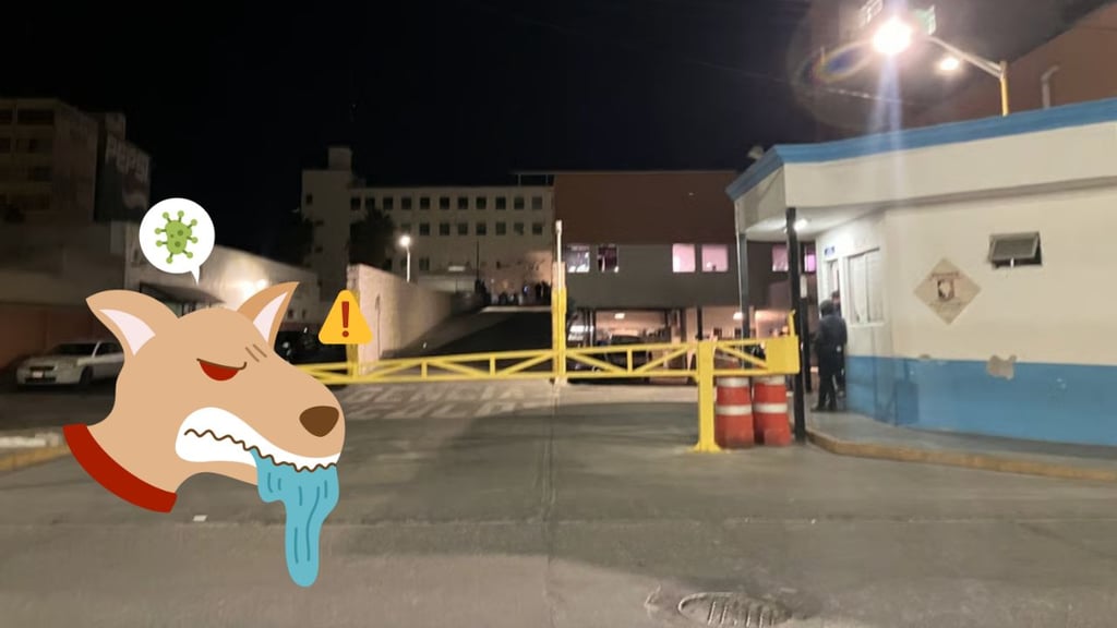 Niña de 9 años fue atacada por un perro; le harán una cirugía reconstructiva