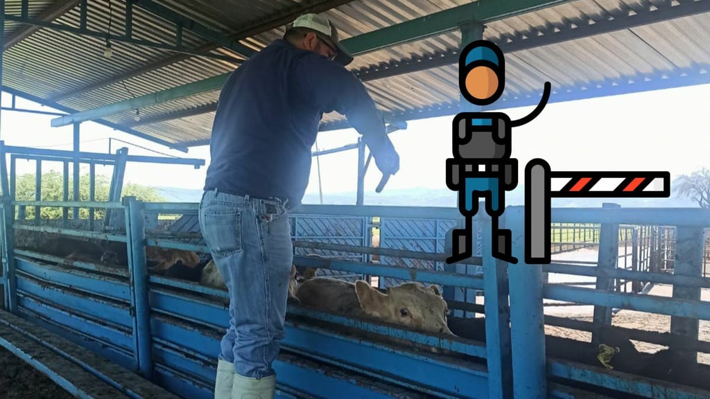 Cierre de frontera a la exportación ganadera es más político que sanitario: URGD