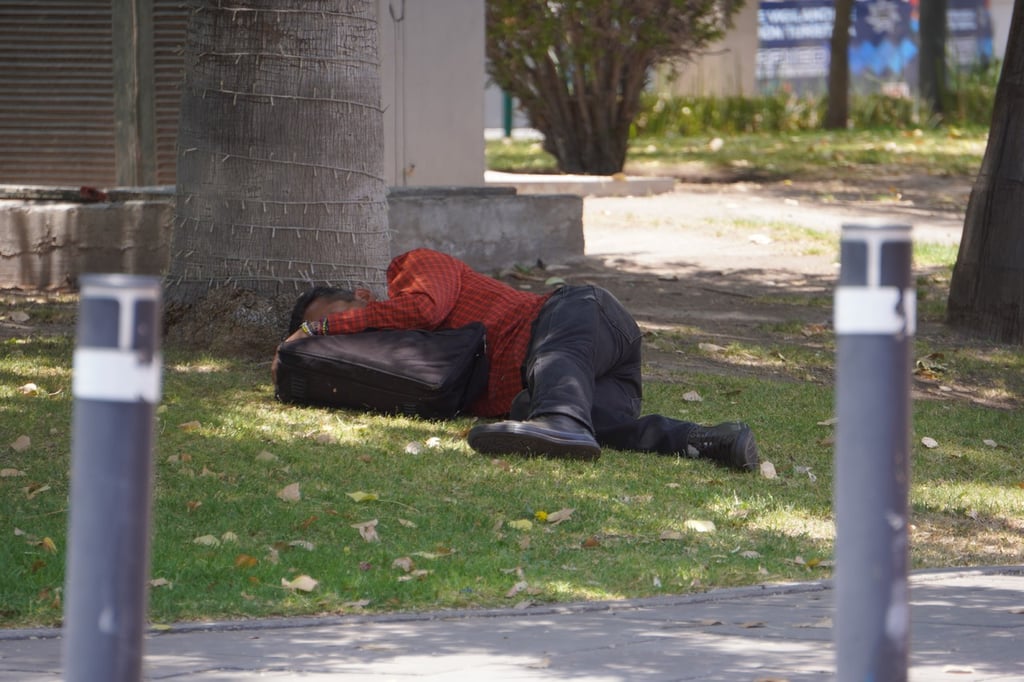 Buscando. Cada vez es más común ver a adultos en edad de trabajar tomando siestas en los jardines, después de buscar empleo.