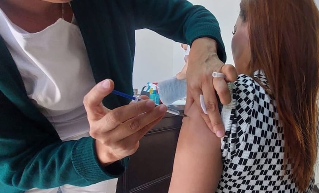 Cifra. Llegaron 40 mil vacunas contra el sarampión para reforzar la campaña que se realiza desde abril en el estado.