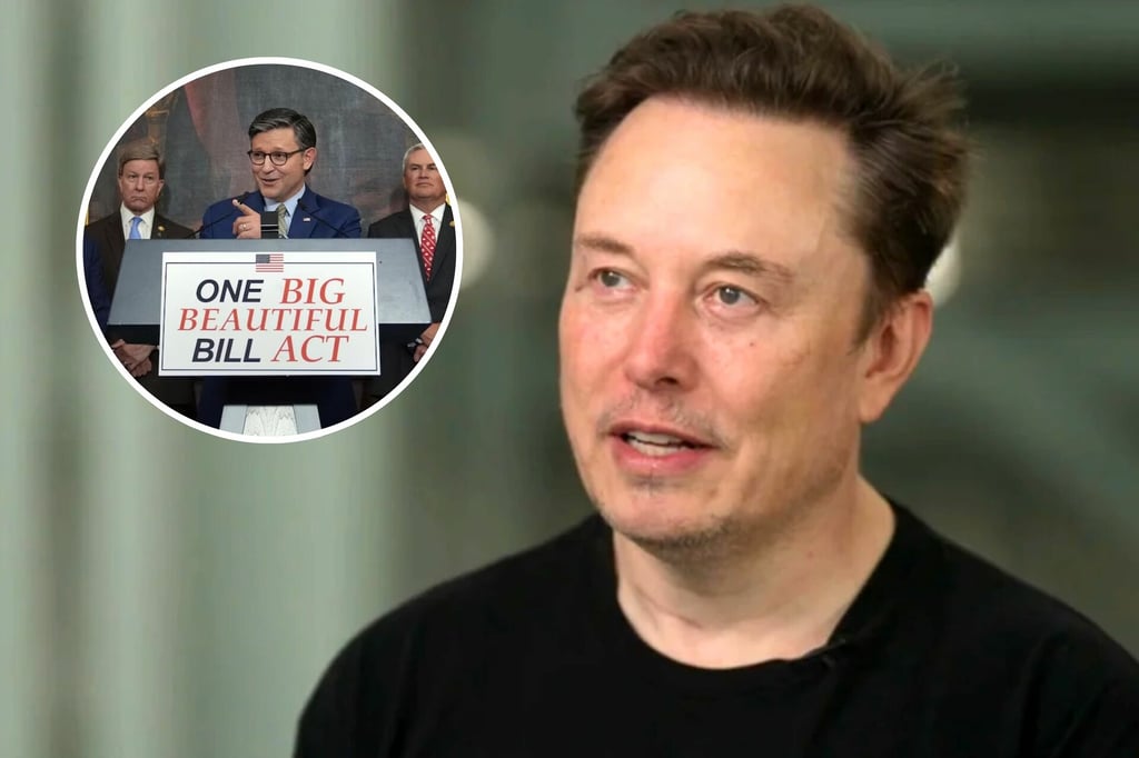 'Destruirá millones de puestos de trabajo'; Musk critica el gran proyecto de ley fiscal de Trump