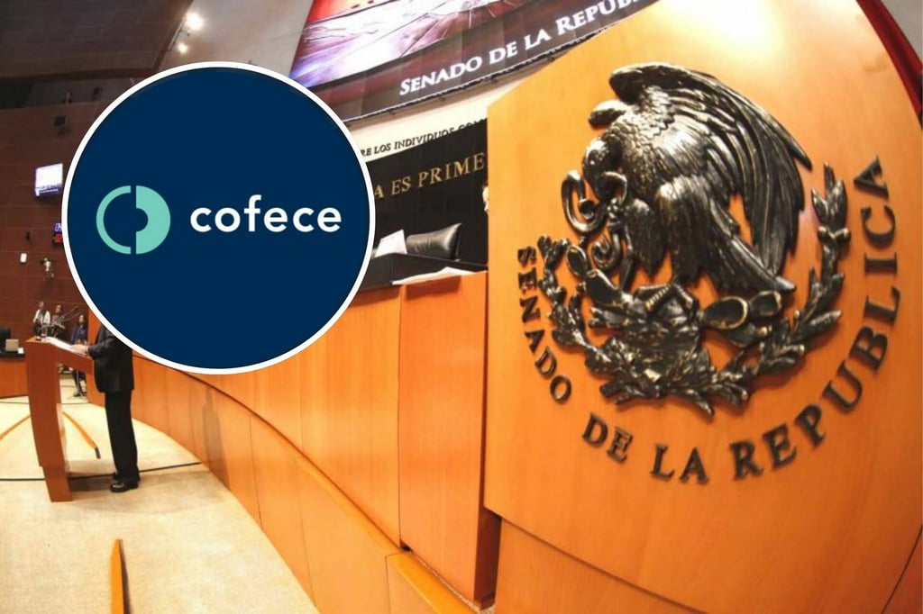 Comisión Nacional Antimonopolio: Senado aprueba en lo general la creación del organismo