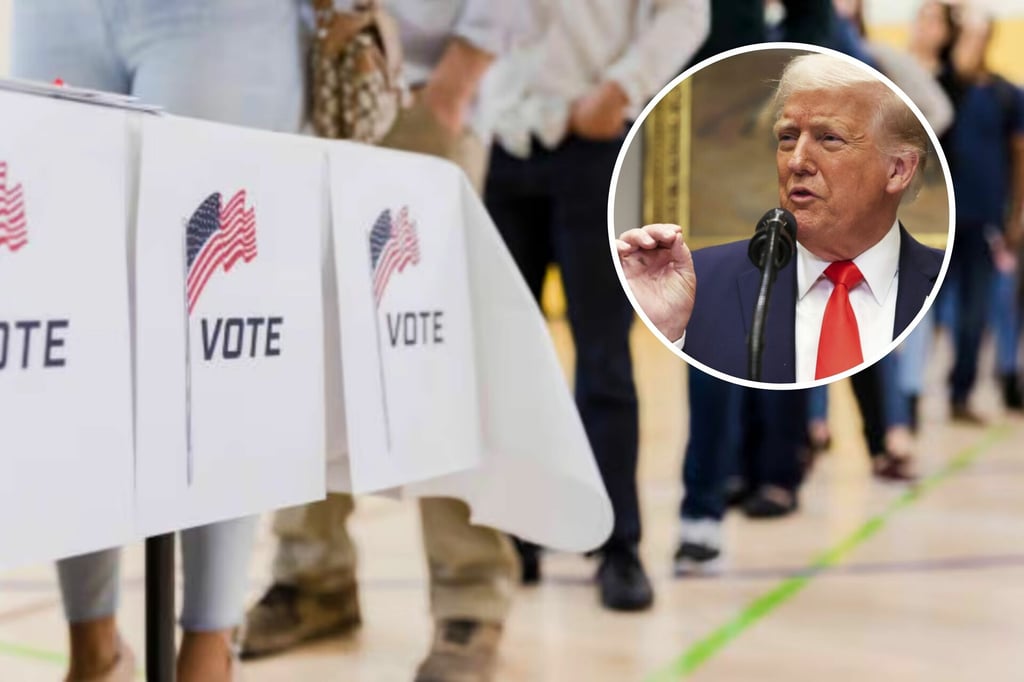 EU crea base de datos para verificar ciudadanía de los votantes, según la radio NPR
