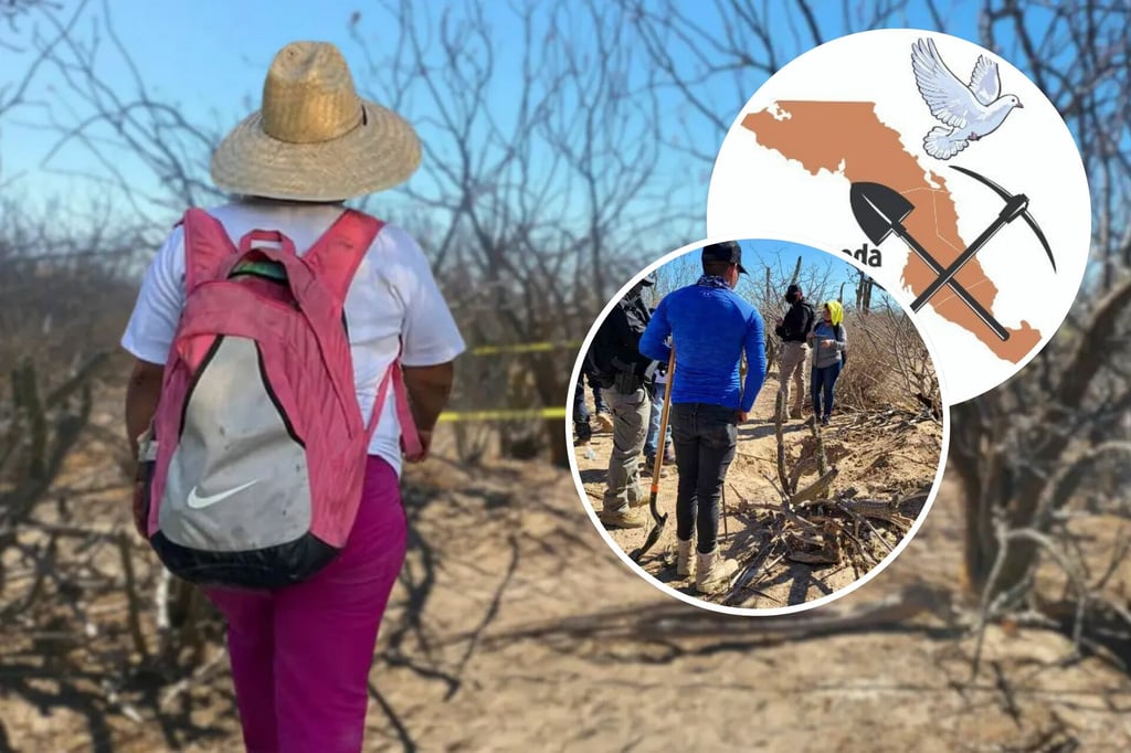 Colectivos reportan el hallazgo de 4 fosas clandestinas en La Paz, BCS