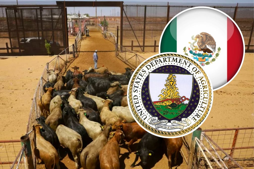 Gusano Barrenador: EU reabre su frontera con México para exportación de ganado