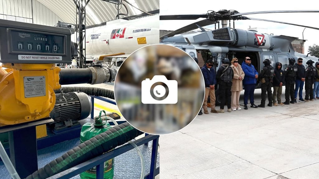 Desmantelan red de huachicoleo y descubren un 'zoológico' con animales exóticos | FOTOS