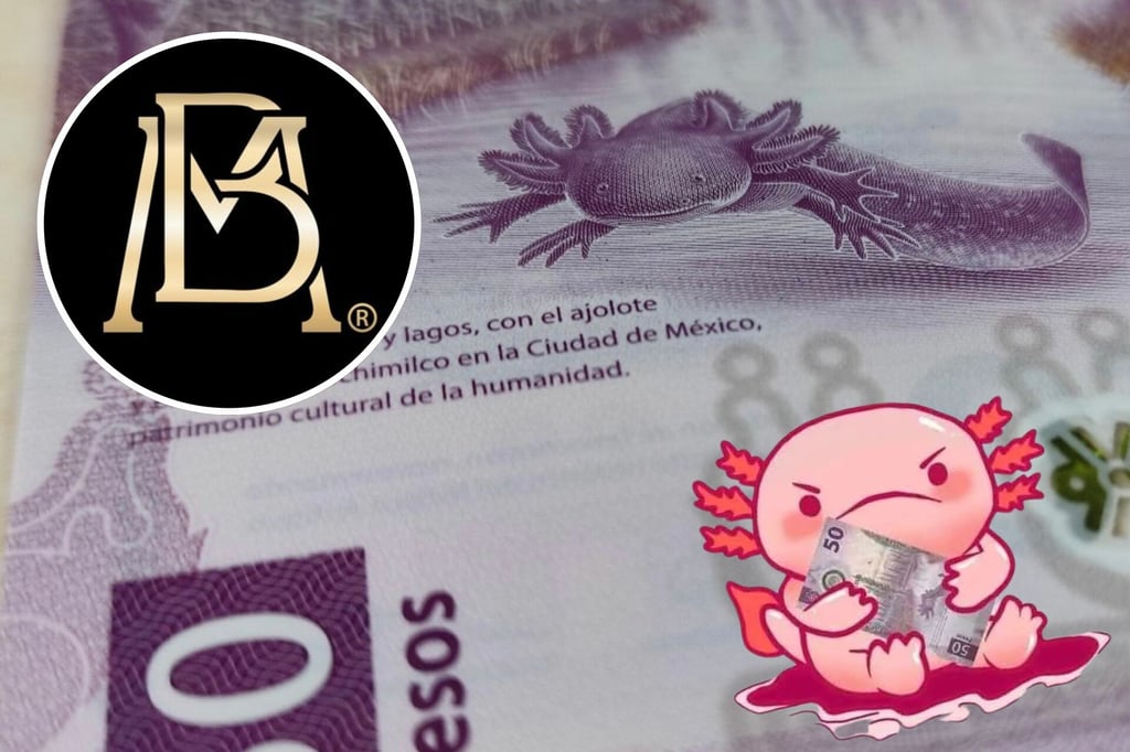 Mexicanos guardan millones... ¡en billetes de 50 pesos!