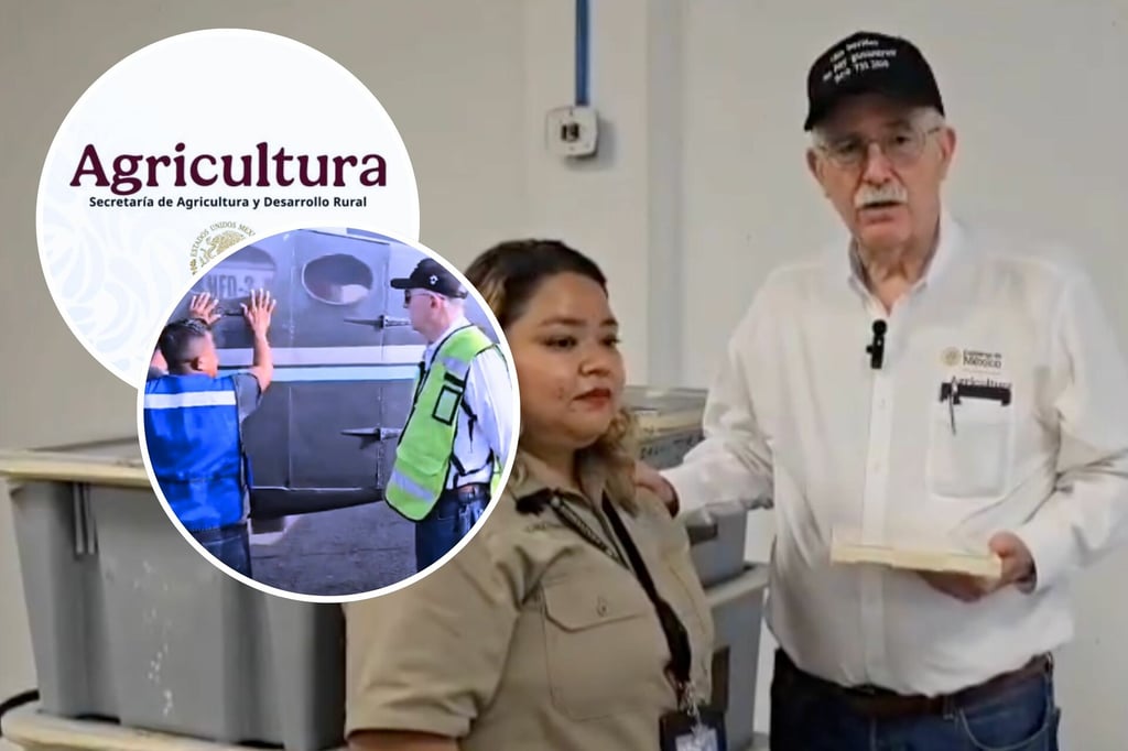 Gusano Barrenador: titular de Agricultura revisa acciones ante plaga en frontera sur