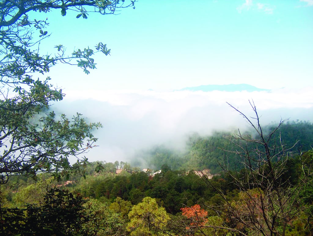 Climatología. Se espera que para lo que resta del mes de junio se sigan presentando precipitaciones de manera generalizada en el estado de Durango.