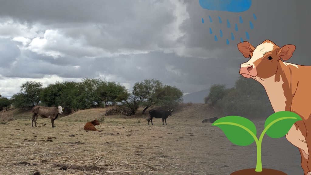 Lluvias y reapertura de frontera, mejoran panorama para el campo en Durango: UGRD