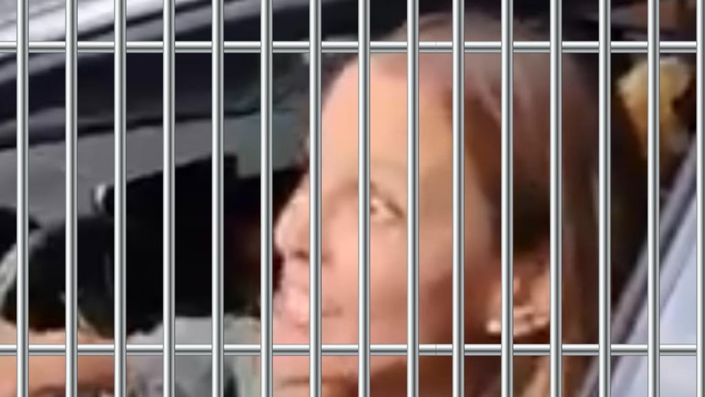 ¿'Lady Racista' llegará a la cárcel y cuántos años podría pasar ahí?