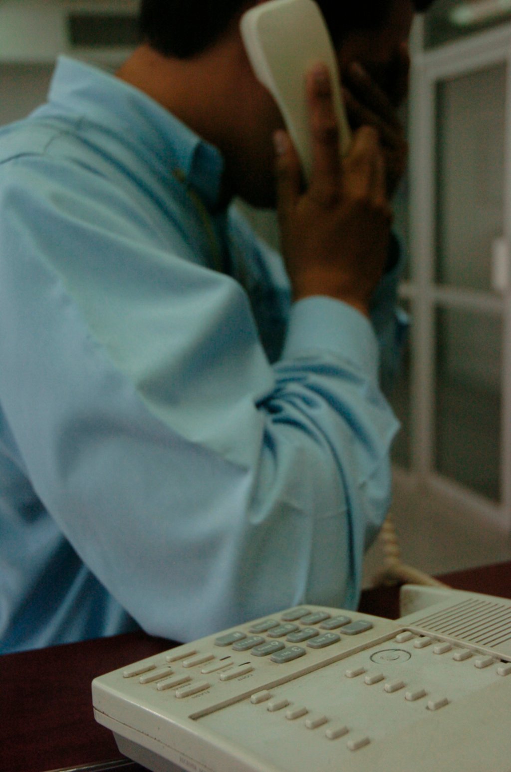 Garante. Fue desaparecido el órgano garante en materia de protección de datos personales.