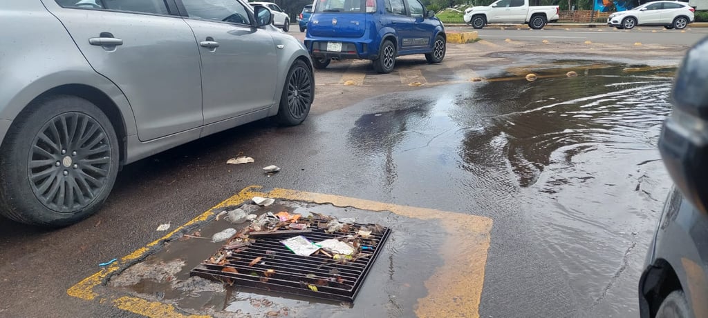 Situación. Se han levantado mil toneladas de basura de alcantarillas que tapan la entrada del agua a la red de drenaje.