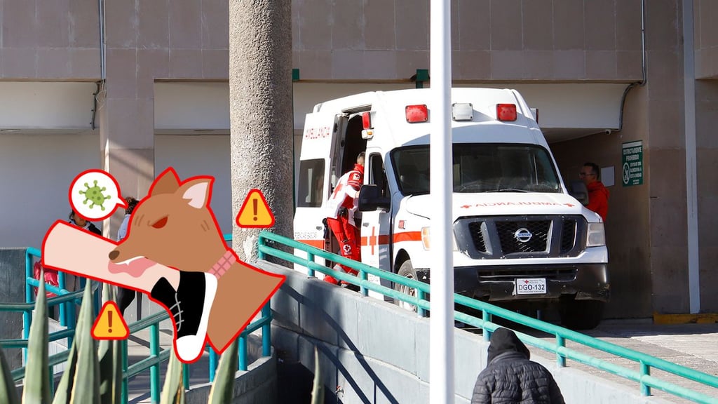 Niña de 3 años resulta lesionada tras ser mordida por su perro