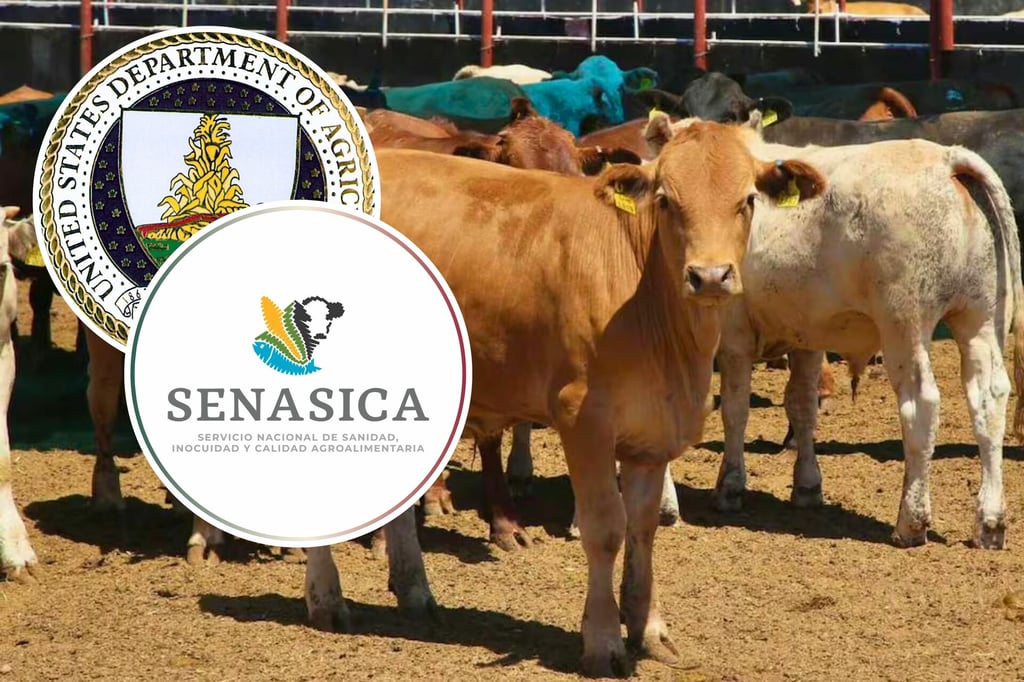 Gusano Barrenador: Secretaria de Agricultura de EU anuncia nuevo cierre de frontera con México