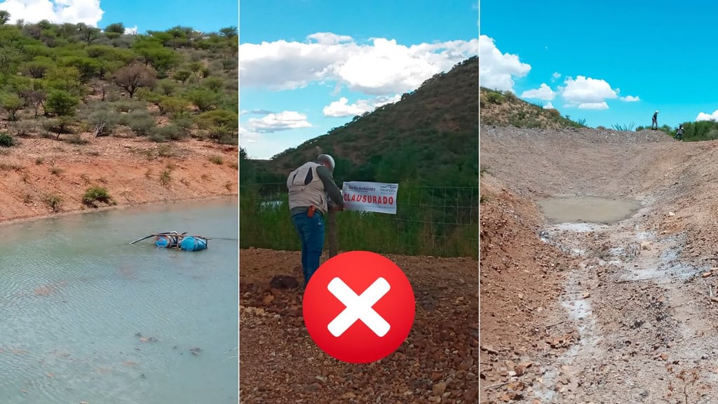 Clausuran 3 proyectos en Durango por cambio ilegal de uso de suelo forestal