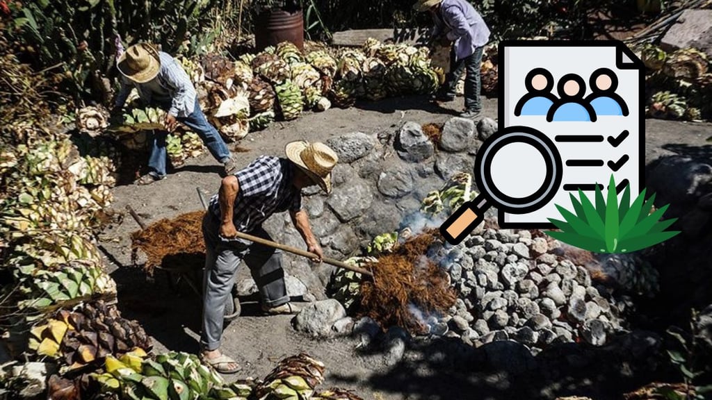 Buscan censar vinatas y maestros mezcaleros en Durango para diagnosticar al sector