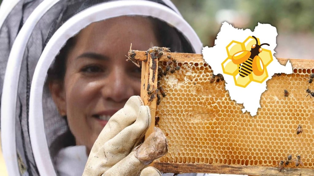 Ofrecen curso básico sobre abejas para sensibilizar a los duranguenses; ¿cuándo será?