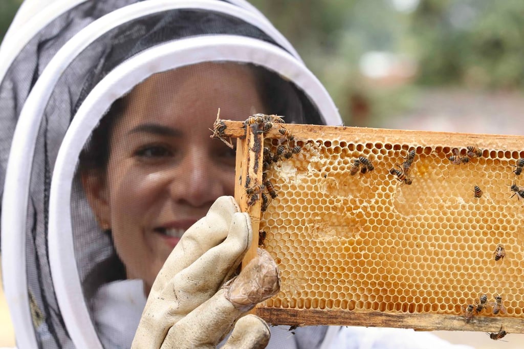 Tema. Es un curso básico para conocer sobre las abejas.