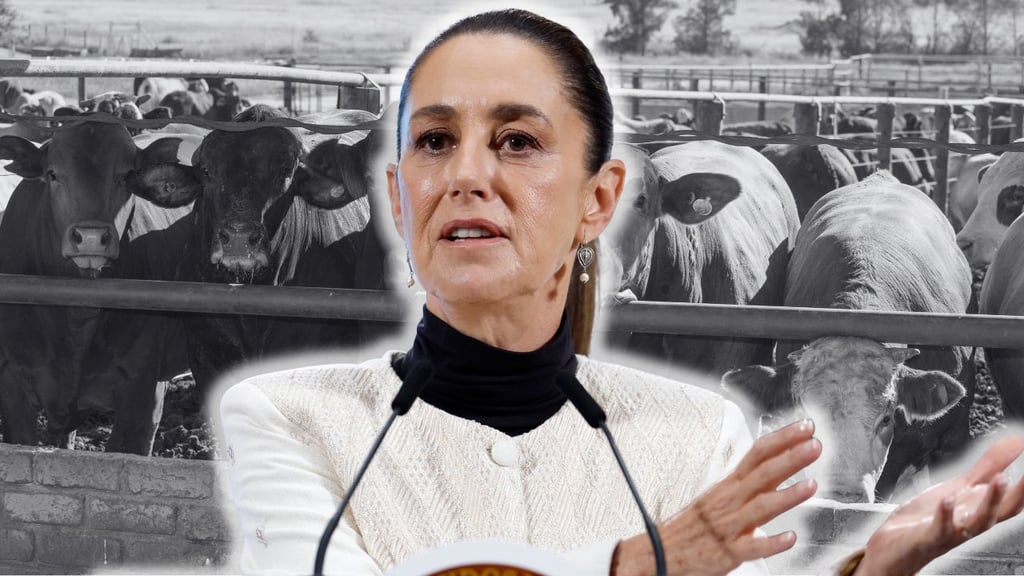 Trabajan para evitar que gusano barrenador avance hacia el norte de México