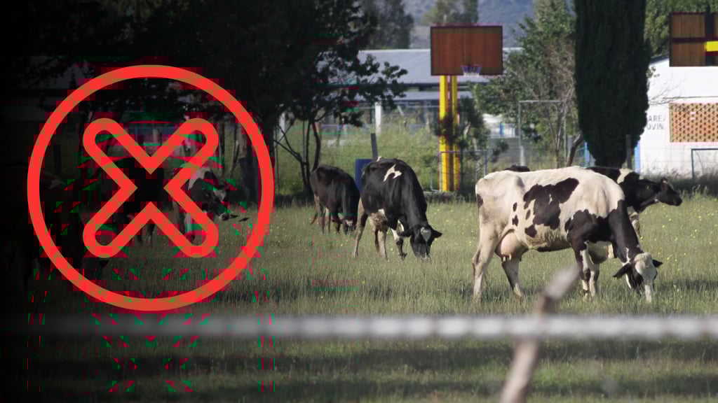 Cierre de frontera a ganado, duro golpe para Durango: Herrera Ruiz