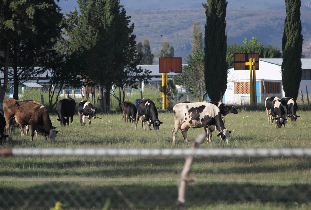 Aspectos.  En la entidad trabajan en el tema de sanidad y capacitaciones.