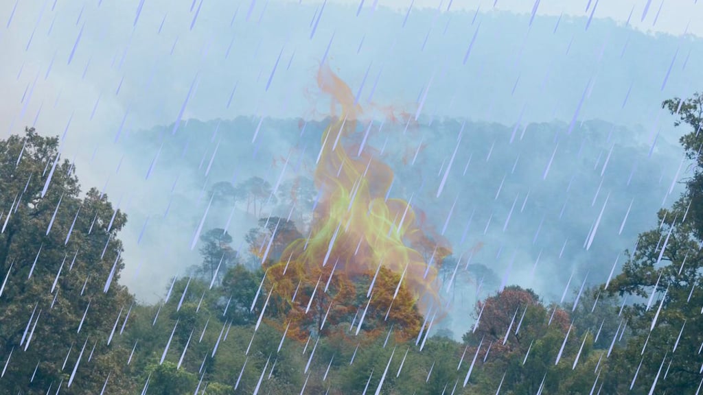 Con llegada de lluvias, se detienen los incendios forestales en Durango