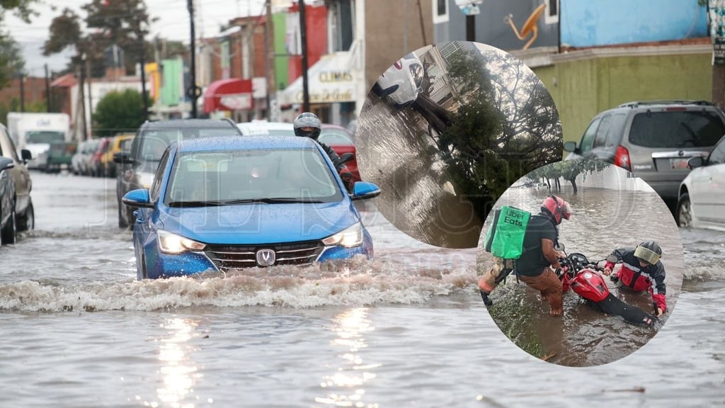 Lluvias del 12 de julio provocan árboles caídos, apagones y vehículos atrapados en Durango capital