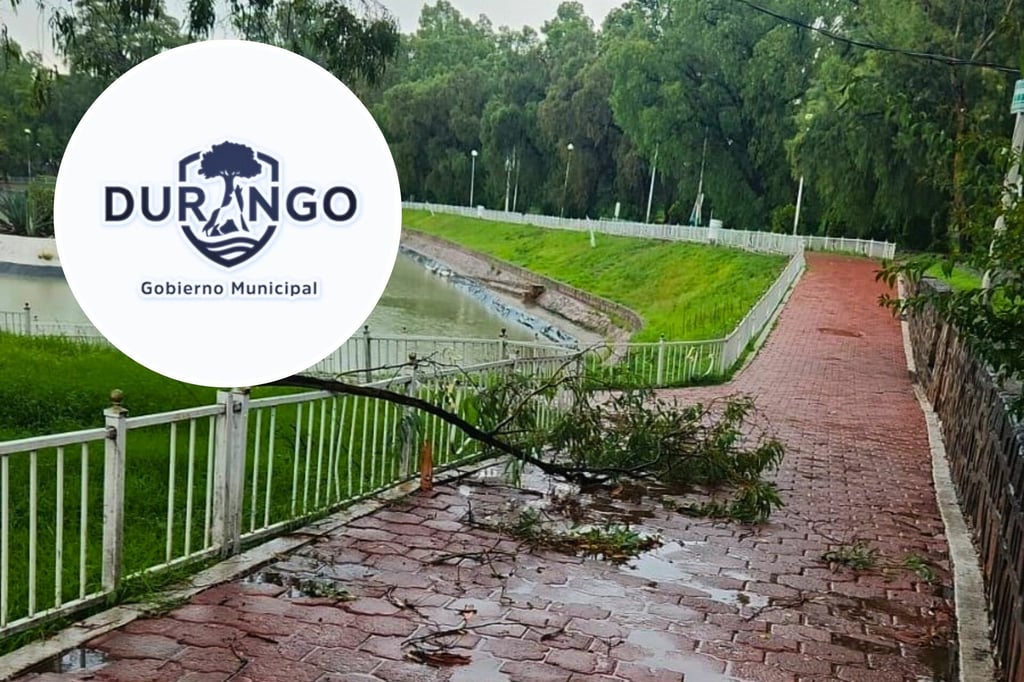 Parque Guadiana y Sahuatoba presentan estragos por lluvia