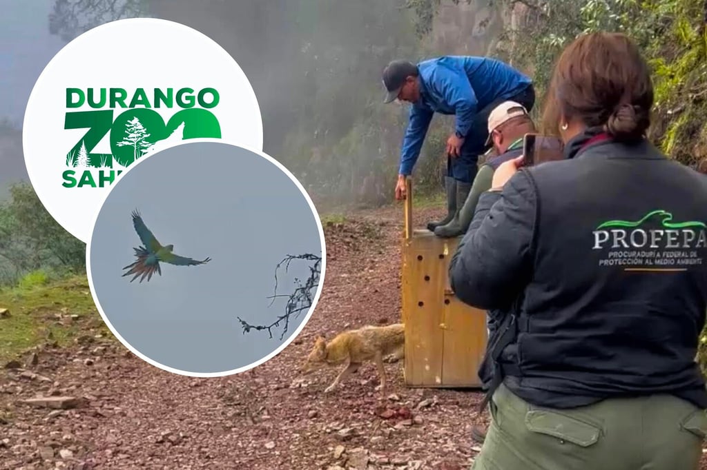 Dejan en libertad a especies resguardadas en el Zoológico Sahuatoba